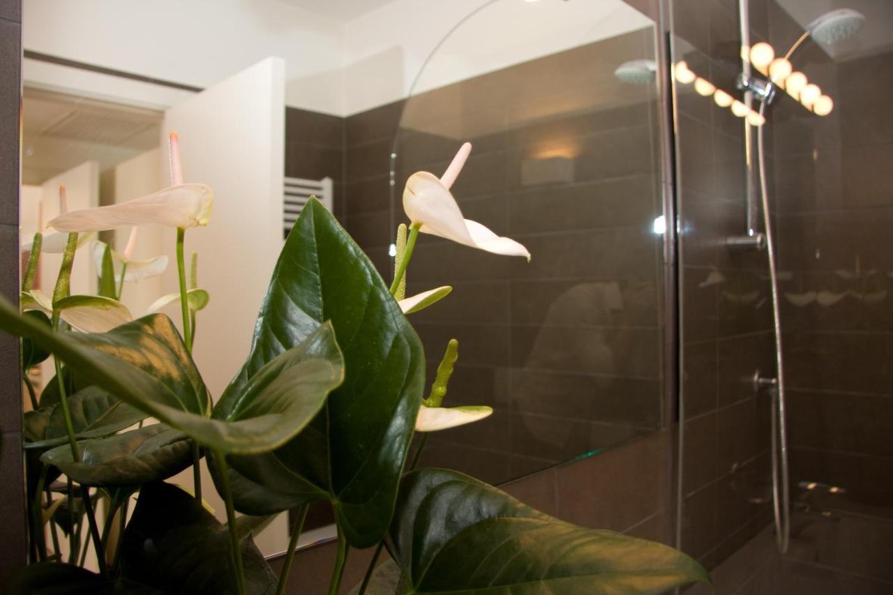 Appartement Supérieur